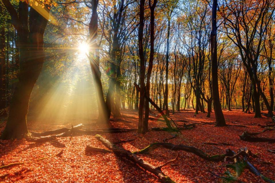Enjoy Nature, Nice Stay And Beautiful Surroundings Putten Εξωτερικό φωτογραφία